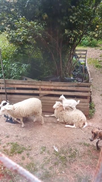 Ты такой мягкий!