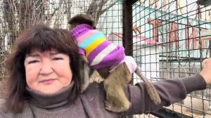 Ох и веселые у нас обезьянки-Николь, Анфиса и Финик вышли с папой Владом на прогулку