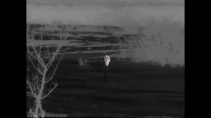 Восемь вечеров охоты Александра на шакала в Ростовских степях.