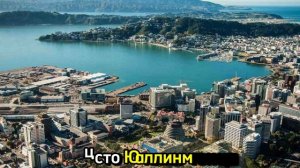 Веллингтон