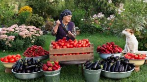 Деревенская кухня. Баклажаны с говядиной на костре.