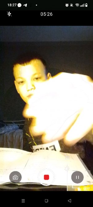 делаю уроки