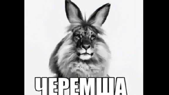 ИИ ЭДИТ С ЧЕРЕМШЕЙ * Не хейтите, мой первый эдит. По реакциям из тгк*