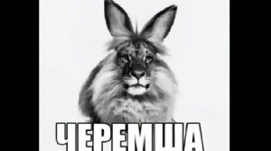 ИИ ЭДИТ С ЧЕРЕМШЕЙ * Не хейтите, мой первый эдит. По реакциям из тгк*