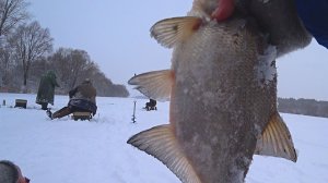 Ловля леща в марте! Рыбалка на Оке!