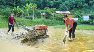 Обустраиваю пруд для разведения рыбы. Качаю воду, вспахиваю землю. Нхат. Вьетнам