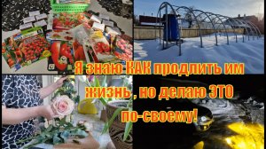 Посеяла томаты. Прошлась по огороду. Ремонт машины завершился.