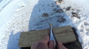 как почистить корюшку