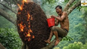 Невероятно, атака самых агрессивных в мире пчёл.