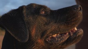 Валерия и Гайя