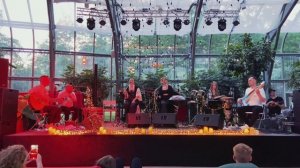 • проект Панголин (Pangolin Project) - нарезки из концерта в оранжерее на ВДНХ •