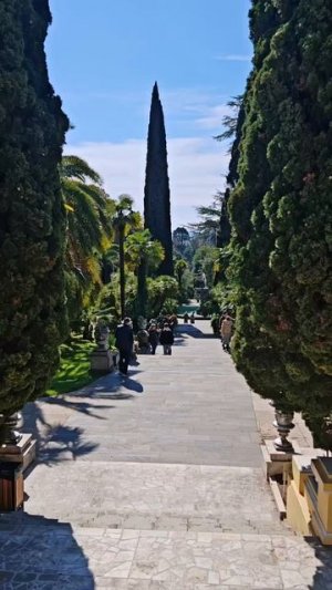 Сочи. Дендрарий.