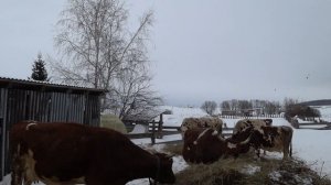 Полоса испытаний .