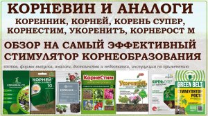 Корневин, Коренник, Корней, Корень Супер, Корнестим, Укоренитъ, Корнерост - стимуляторы укоренения