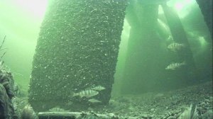 1000011369.mp4Волга гл.2м.11.03.2026г.