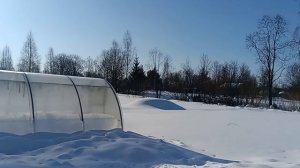 РАБЫ НА ПЛАНТАЦИИ  😁  СОЛНЦЕ ЕЩЁ ВЫСОКО