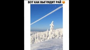 #смешныевидео -1146