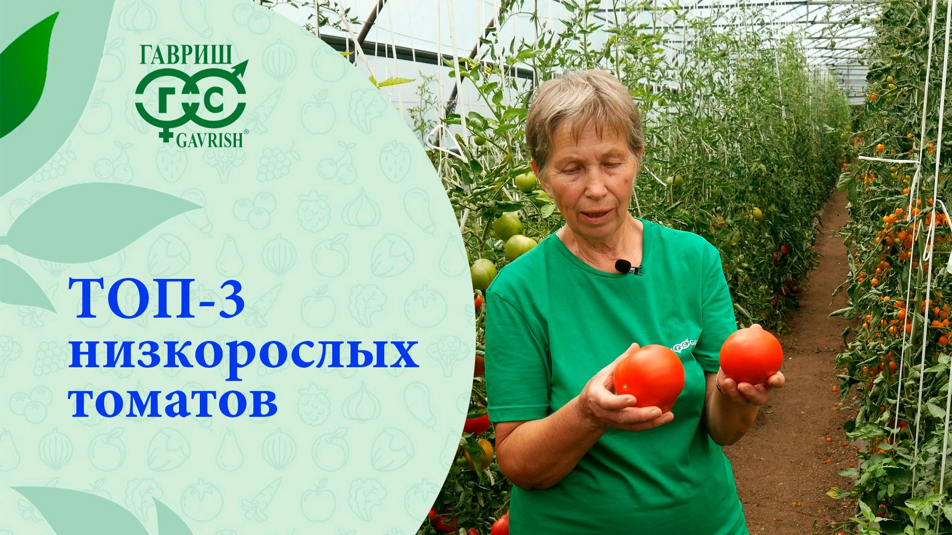 НИЗКОРОСЛЫЕ ТОМАТЫ ДЛЯ ОТКРЫТОГО ГРУНТА