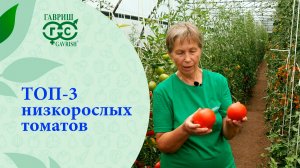НИЗКОРОСЛЫЕ ТОМАТЫ ДЛЯ ОТКРЫТОГО ГРУНТА