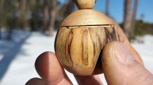 Шкатулка в мартовском лесу на сосне