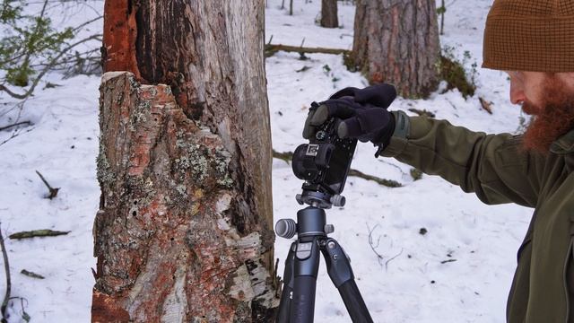 ФОТОПРАКТИКИ. ПРИШЛА ВЕСНА.