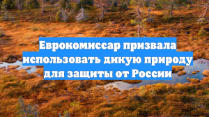 Еврокомиссар призвала использовать дикую природу для защиты от России