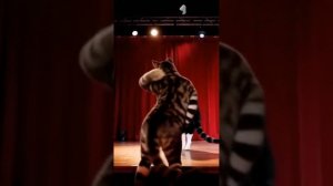 Все ИИ видео!💃🕺