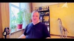 Мировые войны: арки смерти