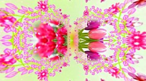 Весна! Очаровательные тюльпаны 3! Киностудия Мудрого Кота Тимофея!