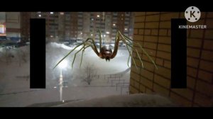 я попал в село молочное. У меня во дворе паук! 🕷 😨😱