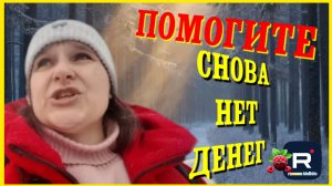 Бровченко _Помогите _Снова нет денег _Обзор _Семья Бровченко _Деревенский дневник