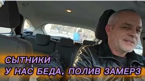 САМВЕЛ АДАМЯН, СЫТНИКИ, У НАС БЕДА, ПОЛИВ ЗАМЕРЗ..