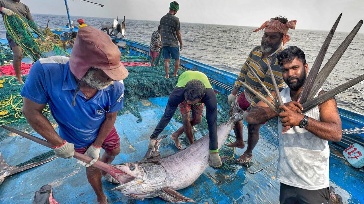 Семнадцатый день мы провели в глубоком море и поймали много рыбы