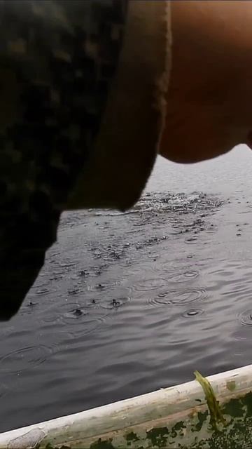 Рыбалка на спиннинг