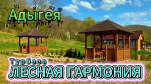 ☘️ ЛЕСНАЯ ГАРМОНИЯ. Отдых в горах Адыгеи
