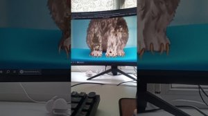 Я играю за компьютером