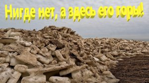 Нигде нет, а здесь его горы.  Что творится на берегах Ейского лимана.