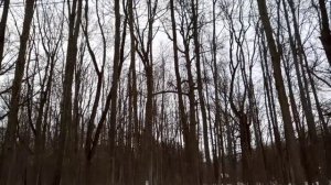 Березка обнимает подружек