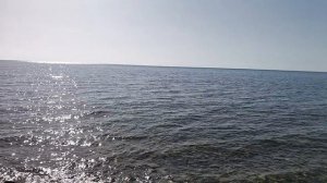 Анапа. Пришла весенняя жара! Одичалый пляж. 11 марта 2026.