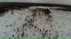 поиск лосей