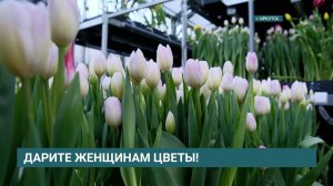 Цветочное безумие: сколько стоят цветы на 8 марта?