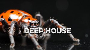 Музыка в Машину 2026 🚘 | Deep House Микс | музыка для фона