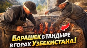 Поехали в горы Узбекистана пробывать барашка в тандыре на высоте 1500 метров! Самса, барашек и горы!