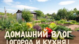 🦉Влог.А тюльпаны улитки опять сожрали 😔