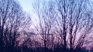 Мия залезла на окно и ...||Аватар ворлд