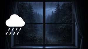 Шум дождя | Звуки дождя для сна  |  10 часов | Звук дождя для сна, расслабления и концентрации