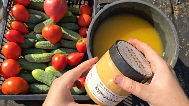 1 ЛОЖКА НА ВЕДРО ВОДЫ и земля как НОВАЯ, ЗДОРОВАЯ, плодородная на повышенный урожай