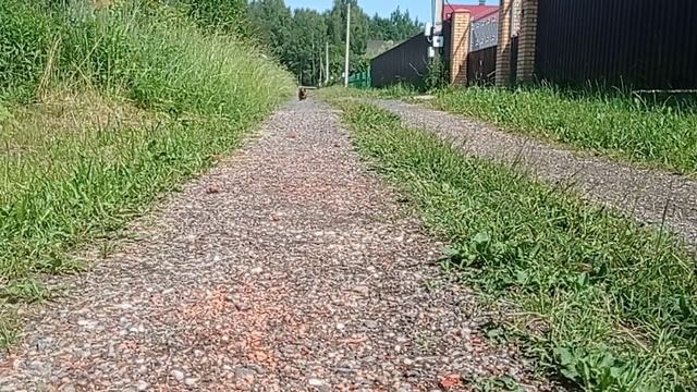 189 2021.06.26_10.15.40 Манька ходила с Мамой за покупками.