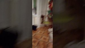 Я в гостях у папы