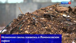 Незаконная свалка появилась в Ломоносовском районе